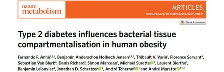 Tissue microbiomes_2