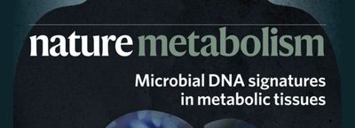 Tissue microbiomes: recent highlights in Type 2 diabetes